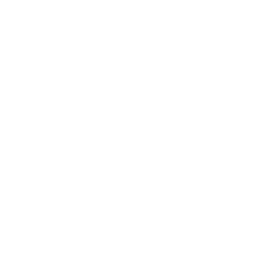 light-logo